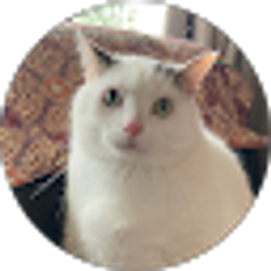 Profile photo of Maya F