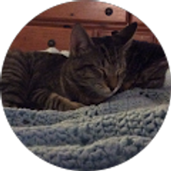 Profile photo of Peanut Butter0419