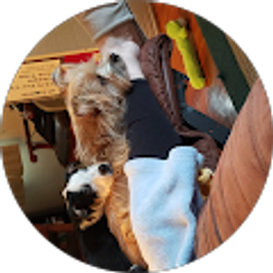 Profile photo of Gray Turner