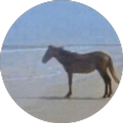 Profile photo of Quinn W