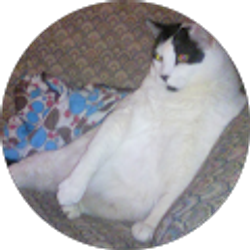 Profile photo of Paul Smethurst