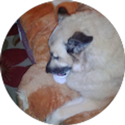 Profile photo of marcie Diem