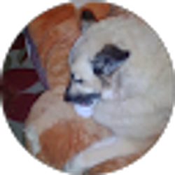 Profile photo of marcie Diem