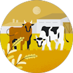 Profile photo of Julie Ann Brown