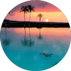 Profile photo of Amy Benes