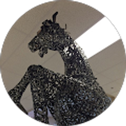 Profile photo of Diana Castro