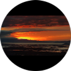 Profile photo of Jose Munoz