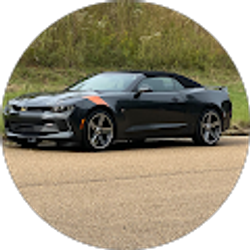 Profile photo of Dez Dez