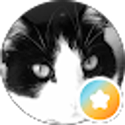 Profile photo of Alison R