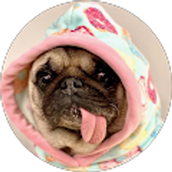 Profile photo of Anastasia Melnik