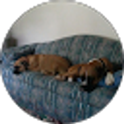Profile photo of Susan Stafford