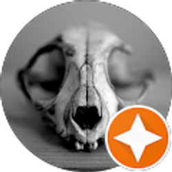 Profile photo of Sean Kelly