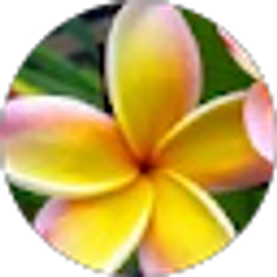 Profile photo of Sara Todd