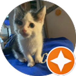 Profile photo of VANESSA GOMEZ