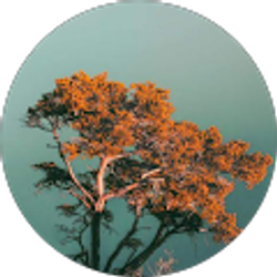 Profile photo of Yulissa Jaime