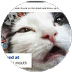 Profile photo of John Nuetzmann