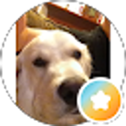 Profile photo of Steve S