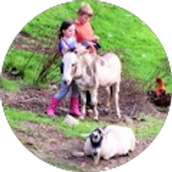 Profile photo of Anne Sewell-Irons