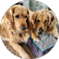 Profile photo of Stephanie Olds