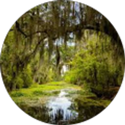 Profile photo of Ciel Vert