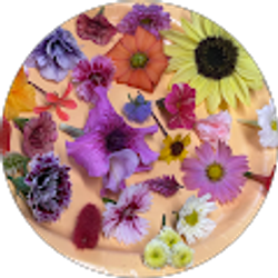 Profile photo of Amber Newsome