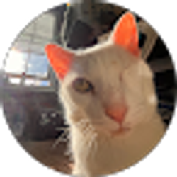 Profile photo of mars