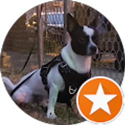 Profile photo of J Lema