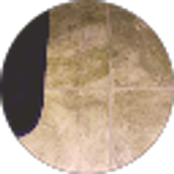 Profile photo of Erin Ross
