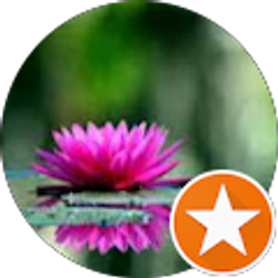 Profile photo of Pamela Hladik