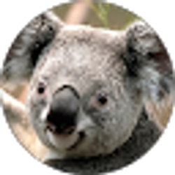 Profile photo of Jim Brager
