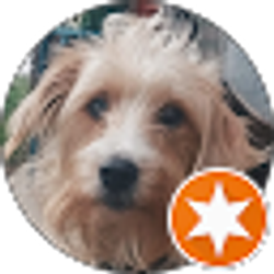 Profile photo of Sarah