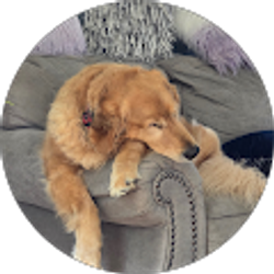 Profile photo of Stephanie Stammitti