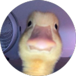 Profile photo of ariel Gavilan