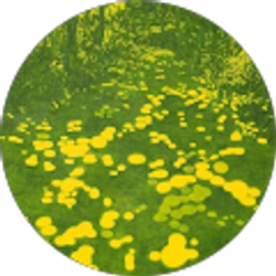 Profile photo of Ama J