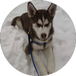 Profile photo of Cappy Wawa