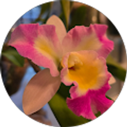 Profile photo of Holly Passmore