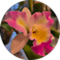 Profile photo of Holly Passmore