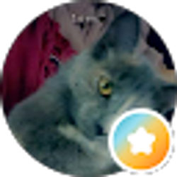 Profile photo of Ashley Griffin