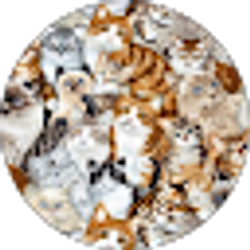 Profile photo of Jacobs Fryback