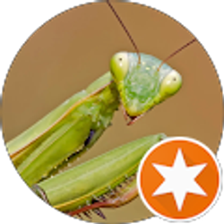 Profile photo of Lawrence Loredo