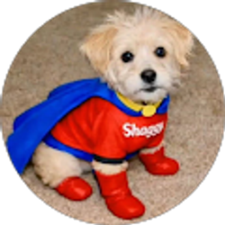 Profile photo of Joy M.