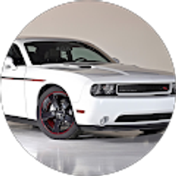 Profile photo of Cristian Maldonado