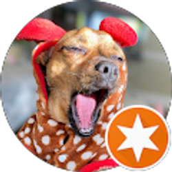 Profile photo of Karl Twiford