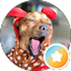 Profile photo of Karl Twiford