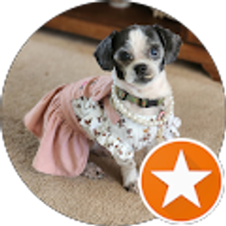 Profile photo of Marie T