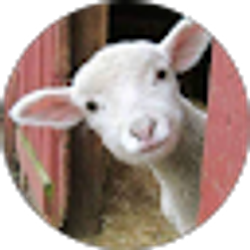 Profile photo of Roger Propst