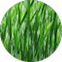 Profile photo of Reed Evans