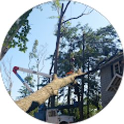 Profile photo of Kenneth Gruss