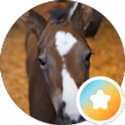 Profile photo of Tina King