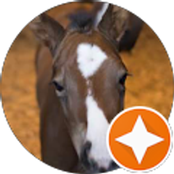 Profile photo of Tina King